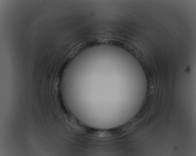 X0000091710275200708241003