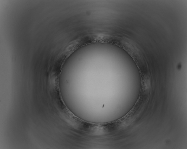 X0000091710276200708241003