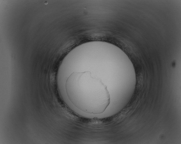 X0000091710278200708241003