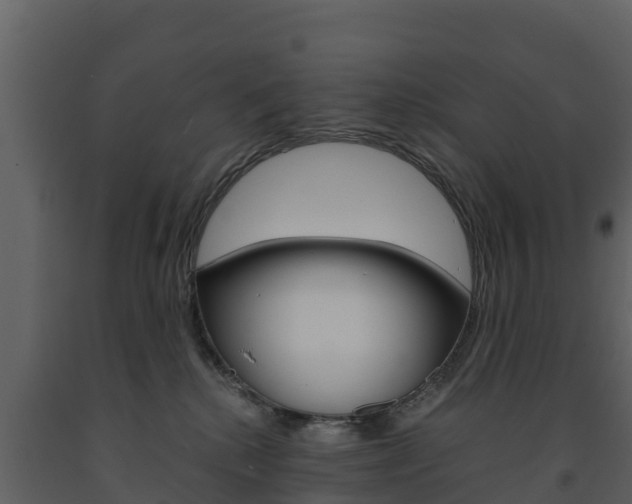 X0000091710280200708241003