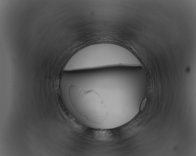 X0000091710281200708241003