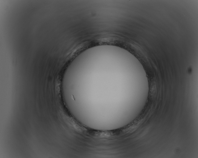 X0000091710282200708241003