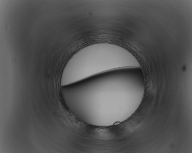 X0000091710283200708241003