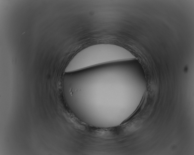 X0000091710284200708241003