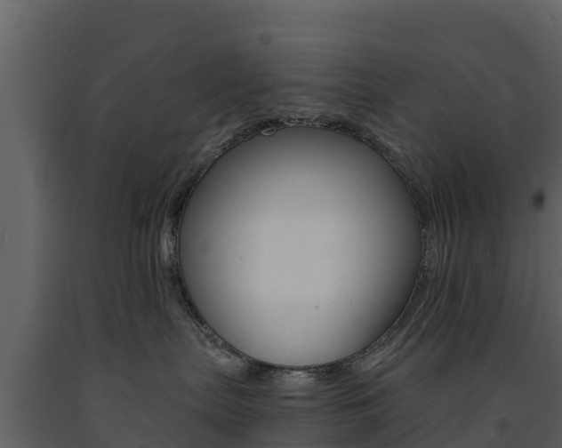 X0000091710287200708241003