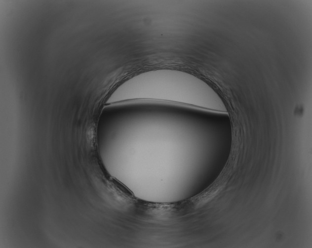 X0000091710288200708241003