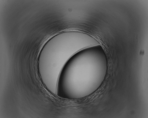 X0000091710289200708241003