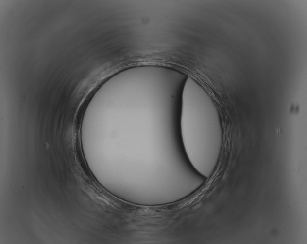 X0000091710290200708241003