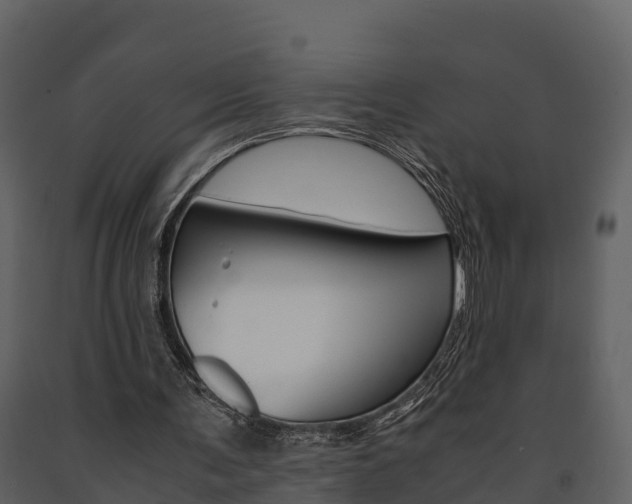 X0000091710291200708241003