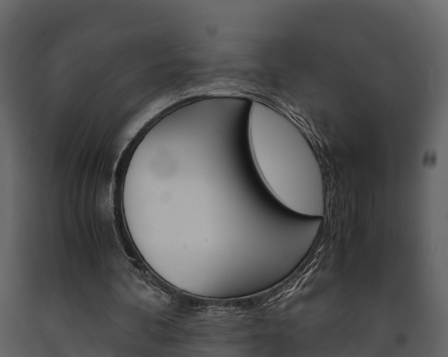 X0000091710292200708241003