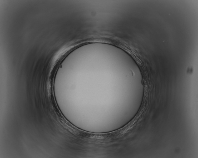 X0000091710294200708241003