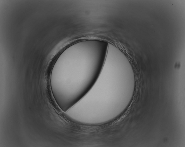 X0000091710295200708241002