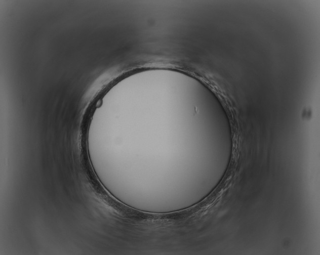 X0000091710296200708241002
