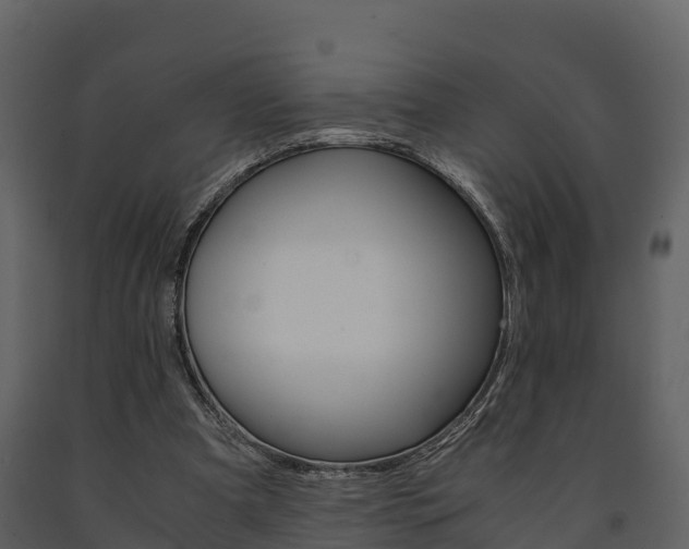 X0000091710297200708241002