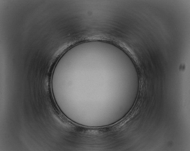 X0000091710298200708241002