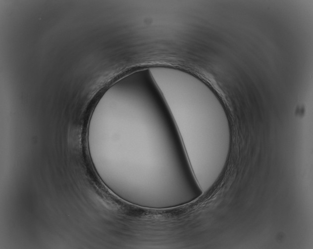 X0000091710299200708241002