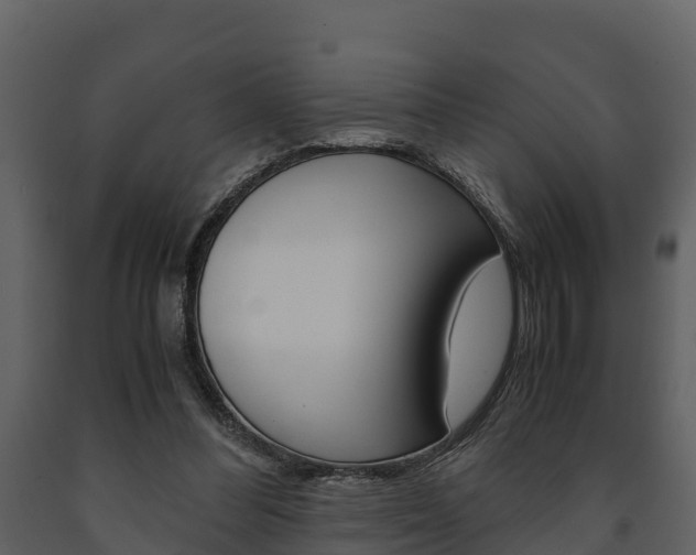 X0000091710300200708241002