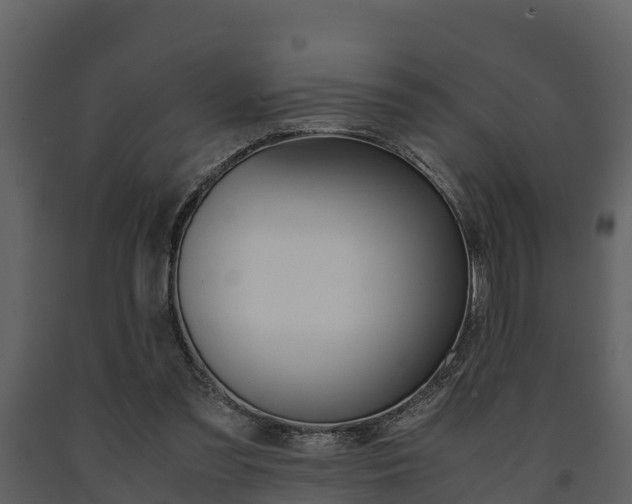 X0000091710301200708241002