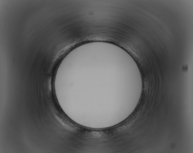 X0000091710302200708241002