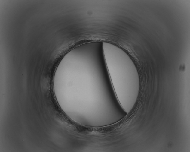 X0000091710303200708241002