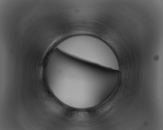 X0000091710304200708241002