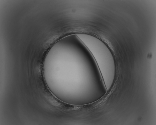 X0000091710305200708241002