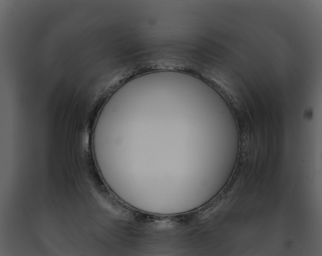 X0000091710310200708241002