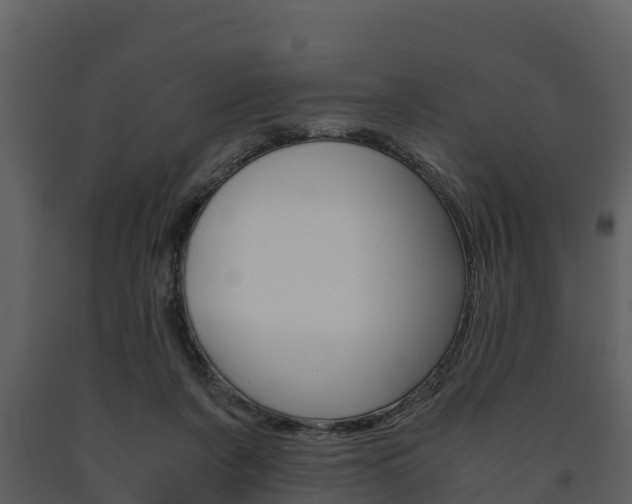 X0000091710311200708241002