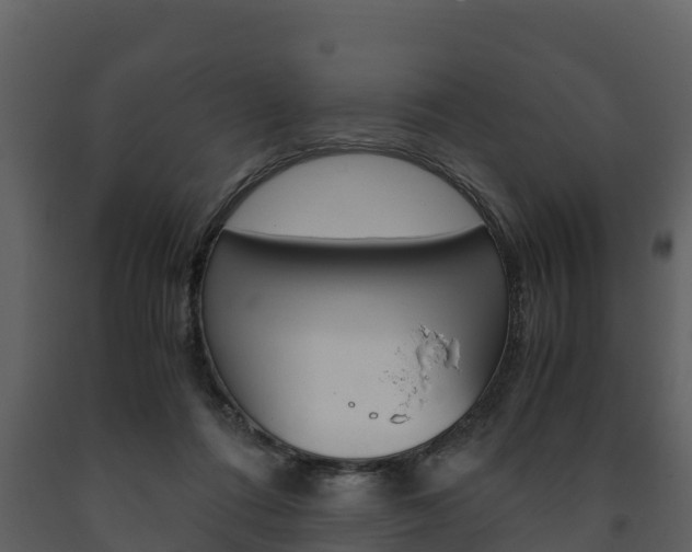X0000091710312200708241002