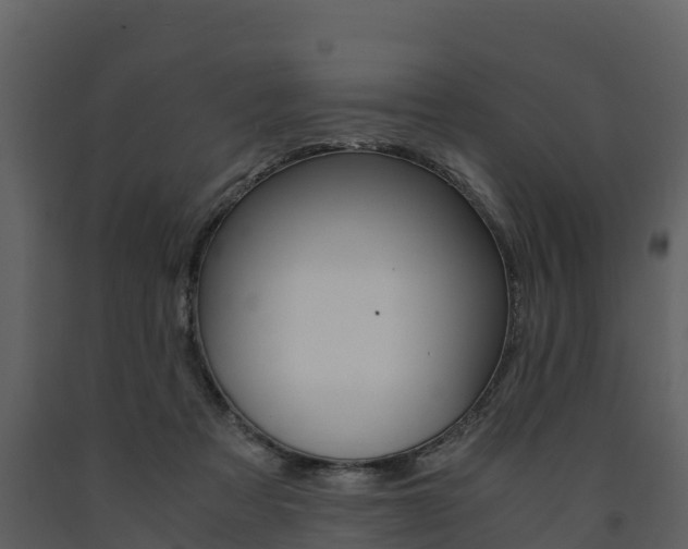 X0000091710313200708241002