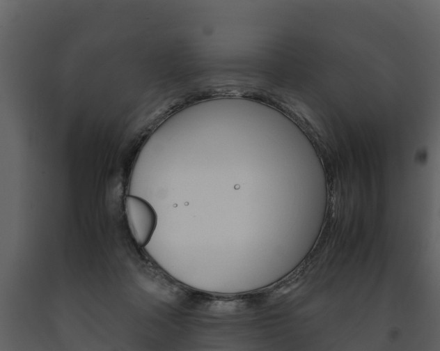 X0000091710314200708241002