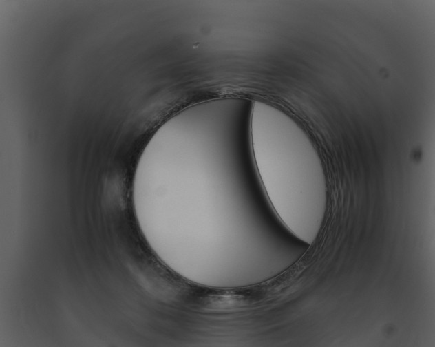 X0000091710316200708241002
