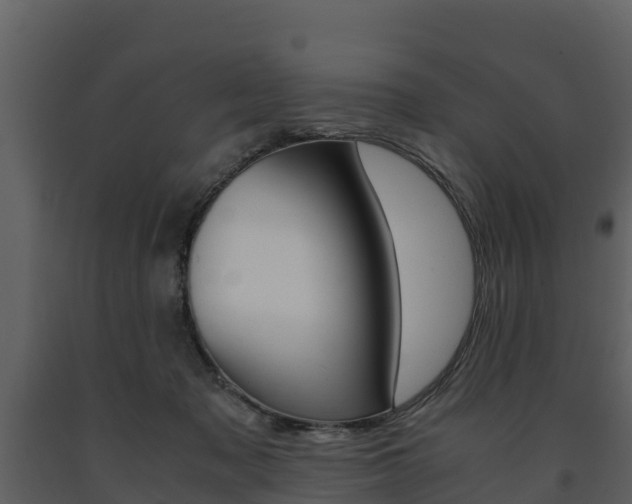 X0000091710317200708241002