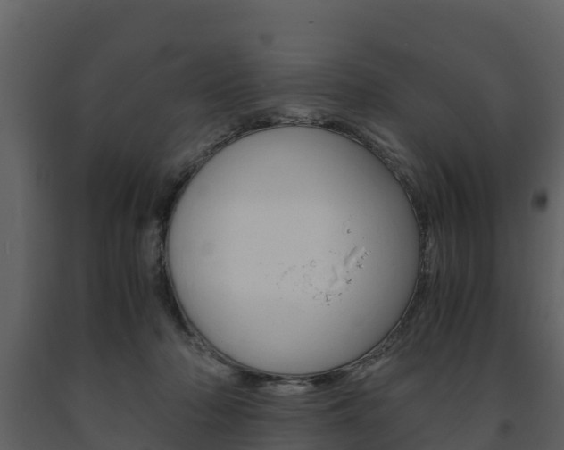 X0000091710318200708241002