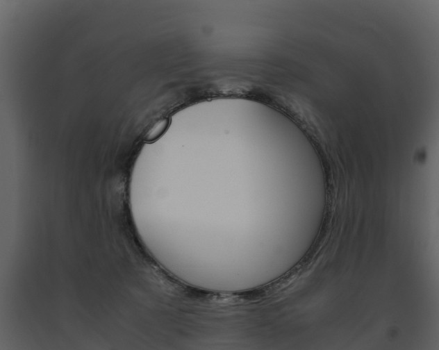 X0000091710321200708241002