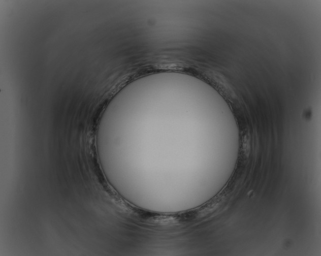 X0000091710322200708241002