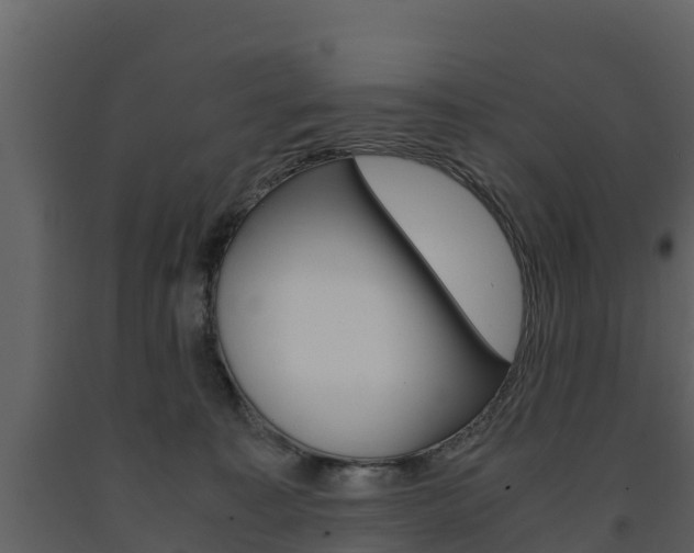 X0000091710323200708241002