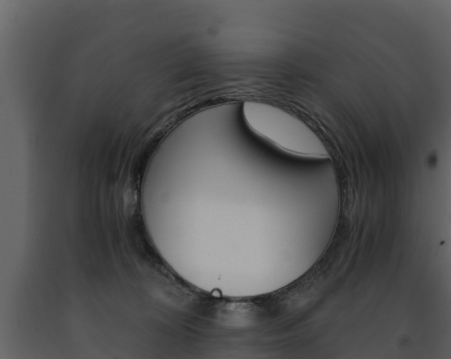 X0000091710324200708241002