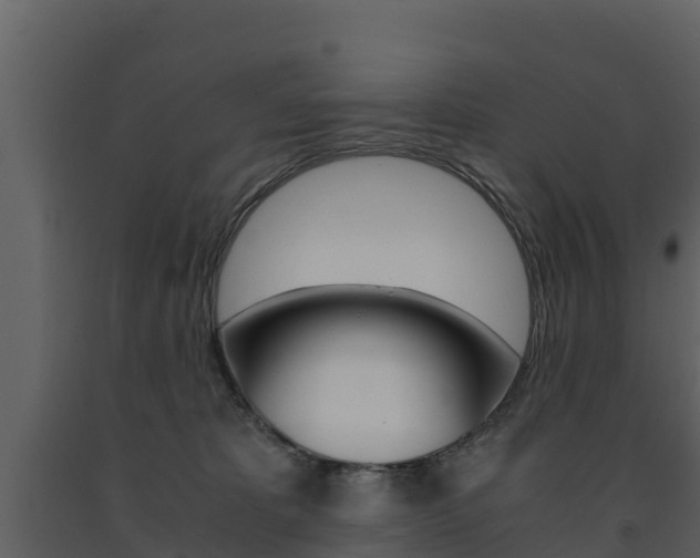 X0000091710325200708241002
