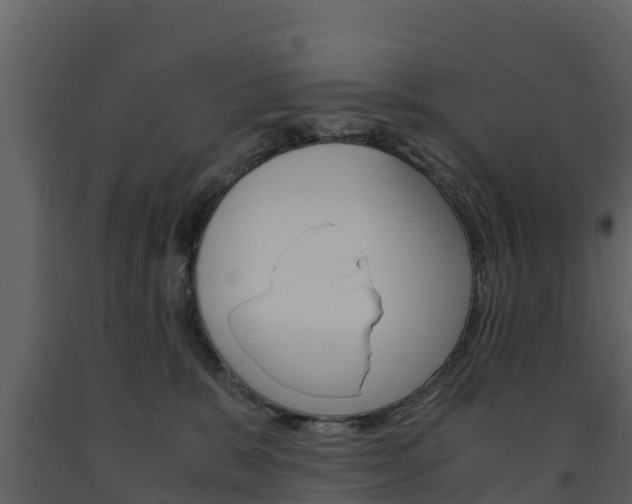 X0000091710327200708241002