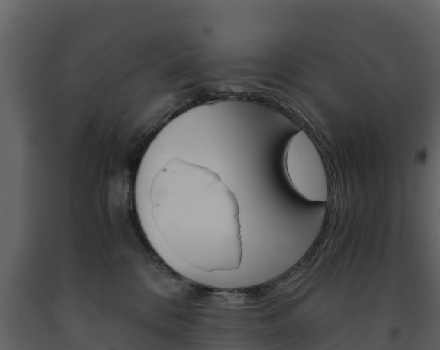 X0000091710328200708241002