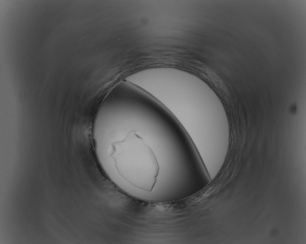 X0000091710329200708241002