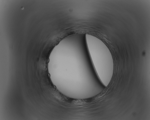 X0000091710331200708241002