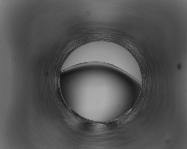 X0000091710333200708241002