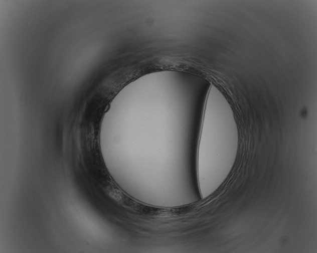 X0000091710335200708241002