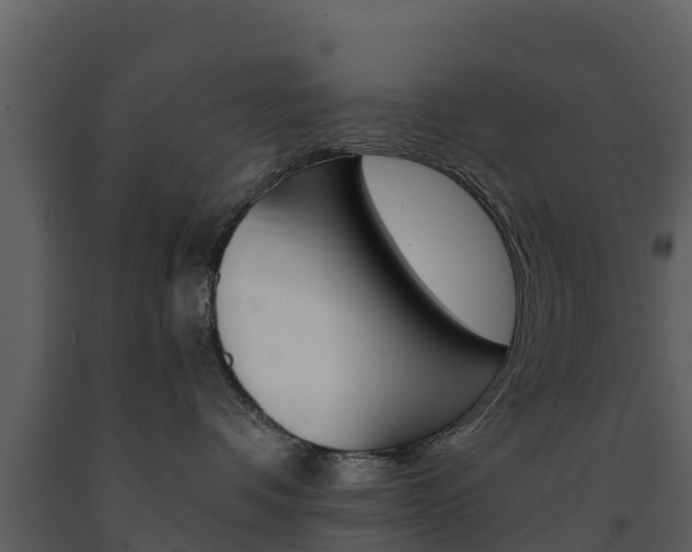 X0000091710336200708241002