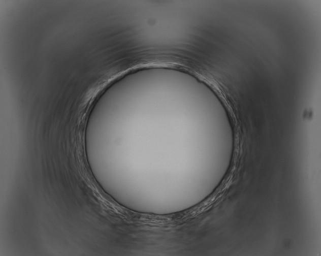 X0000091710337200708241001