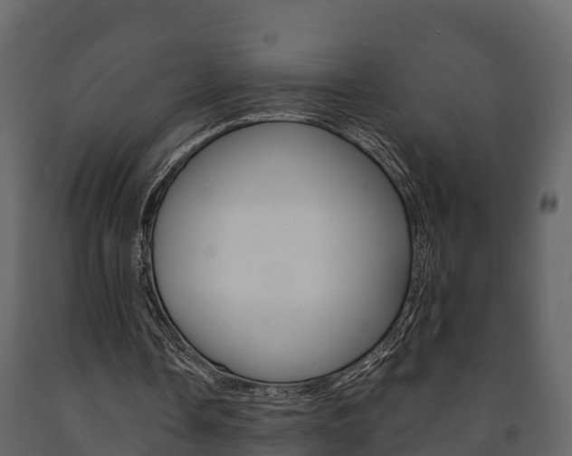 X0000091710338200708241001