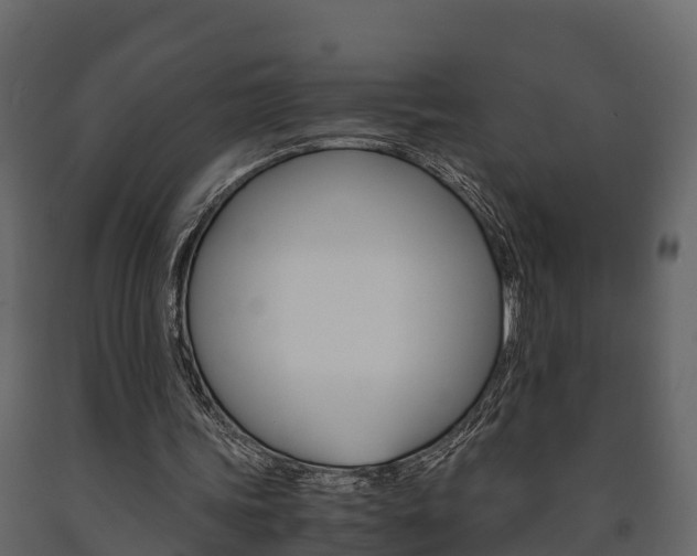 X0000091710339200708241001