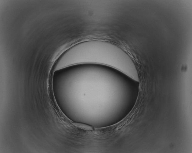 X0000091710340200708241001